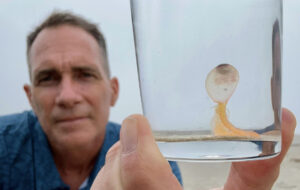 man holding a small, oddly-shaped jelly in a glass